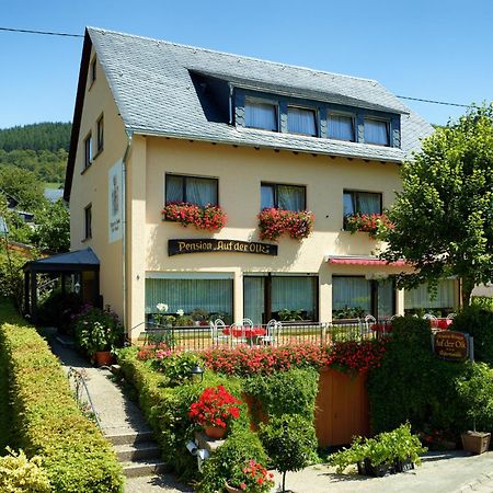 Pension Auf Der Olk Mit Roepertsmuehle Veldenz Eksteriør bilde