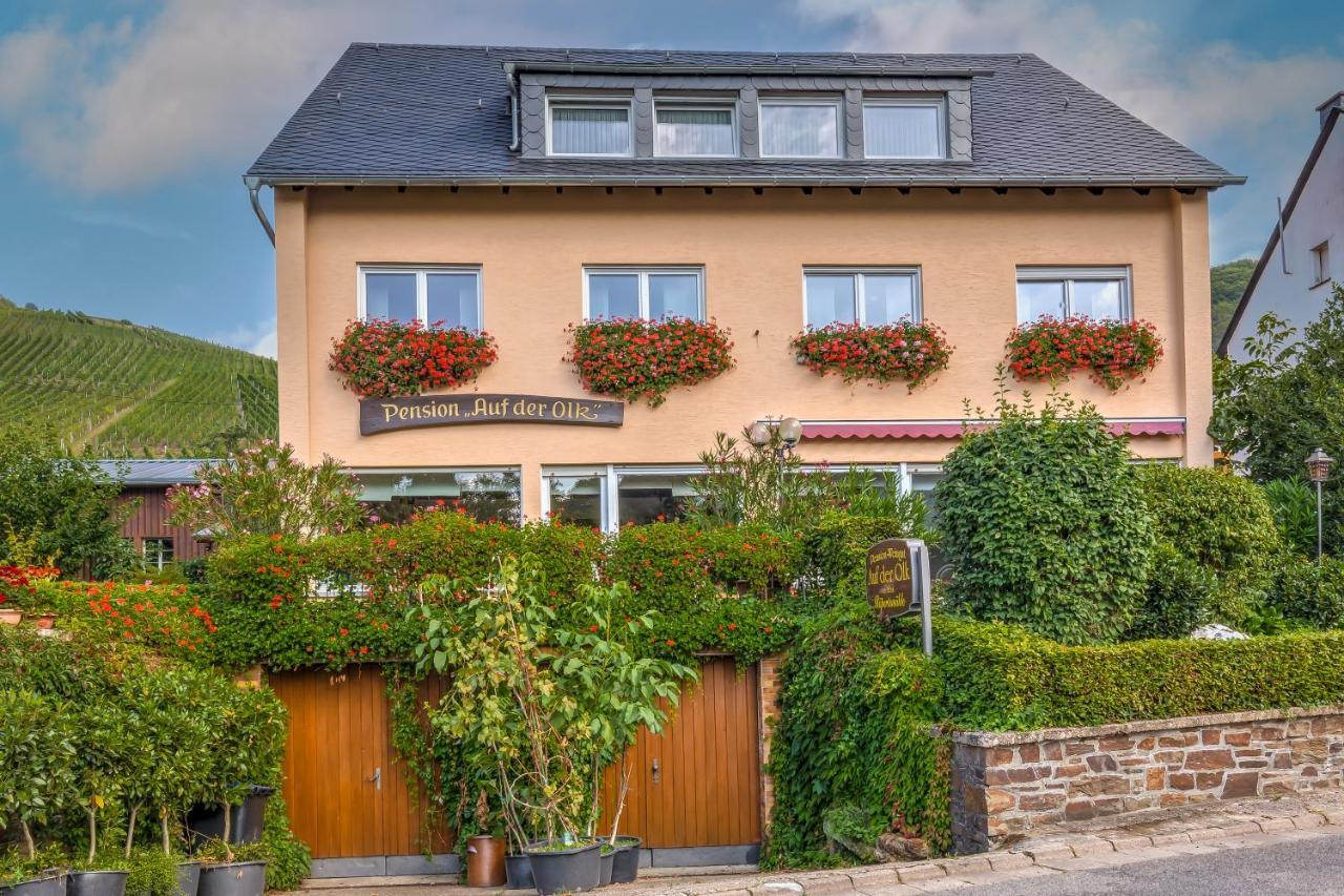 Pension Auf Der Olk Mit Roepertsmuehle Veldenz Eksteriør bilde