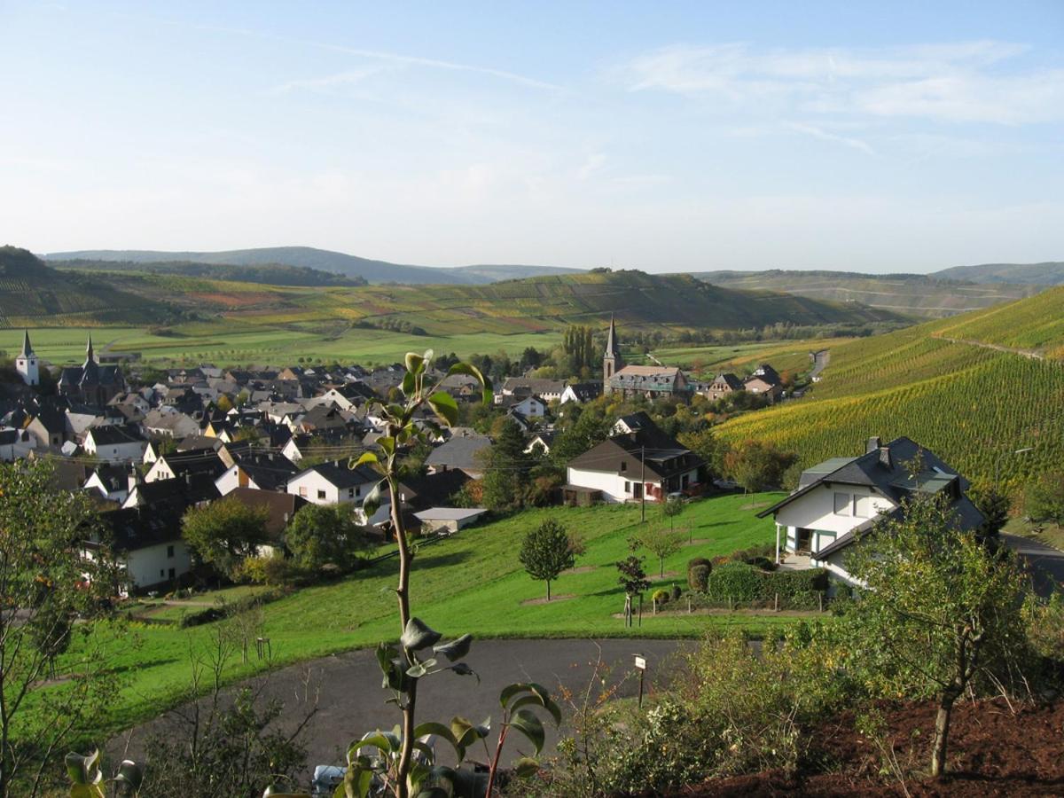 Pension Auf Der Olk Mit Roepertsmuehle Veldenz Eksteriør bilde
